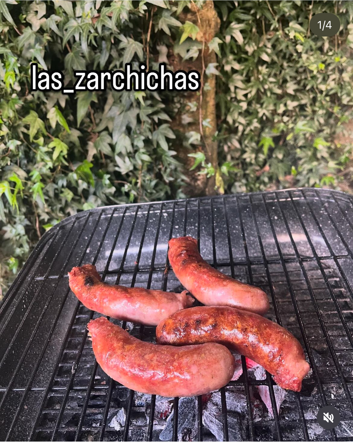 Zarchichas